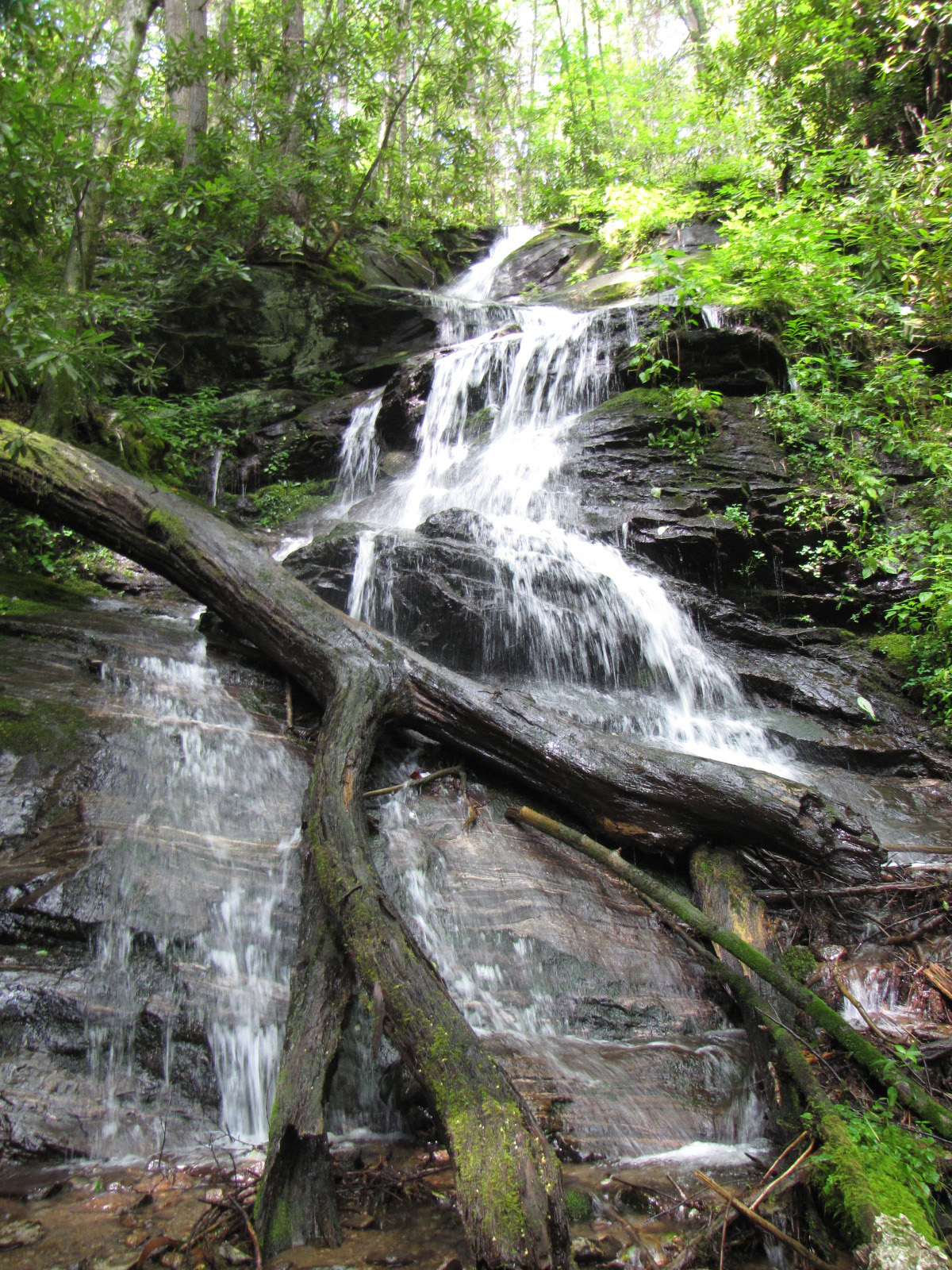LTLT Helps Conserve More Than 11,000 Acres of Watershed Land in WNC