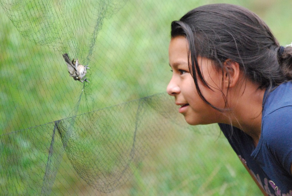 Get Up Close with Birds and Fish on the Valley River July 19