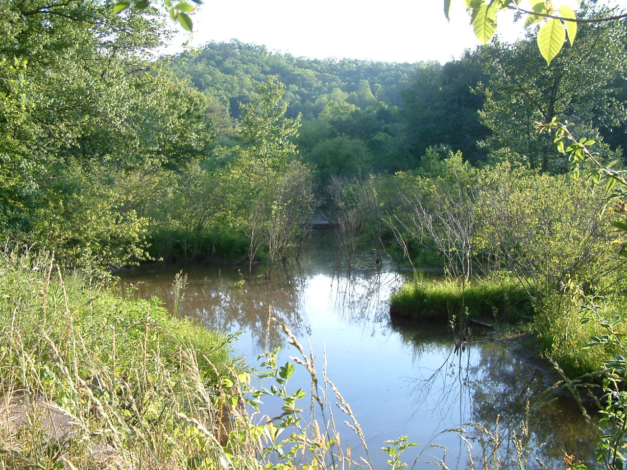 Rabun Gap-Nacoochee School Partners with LTLT to Conserve Wetland