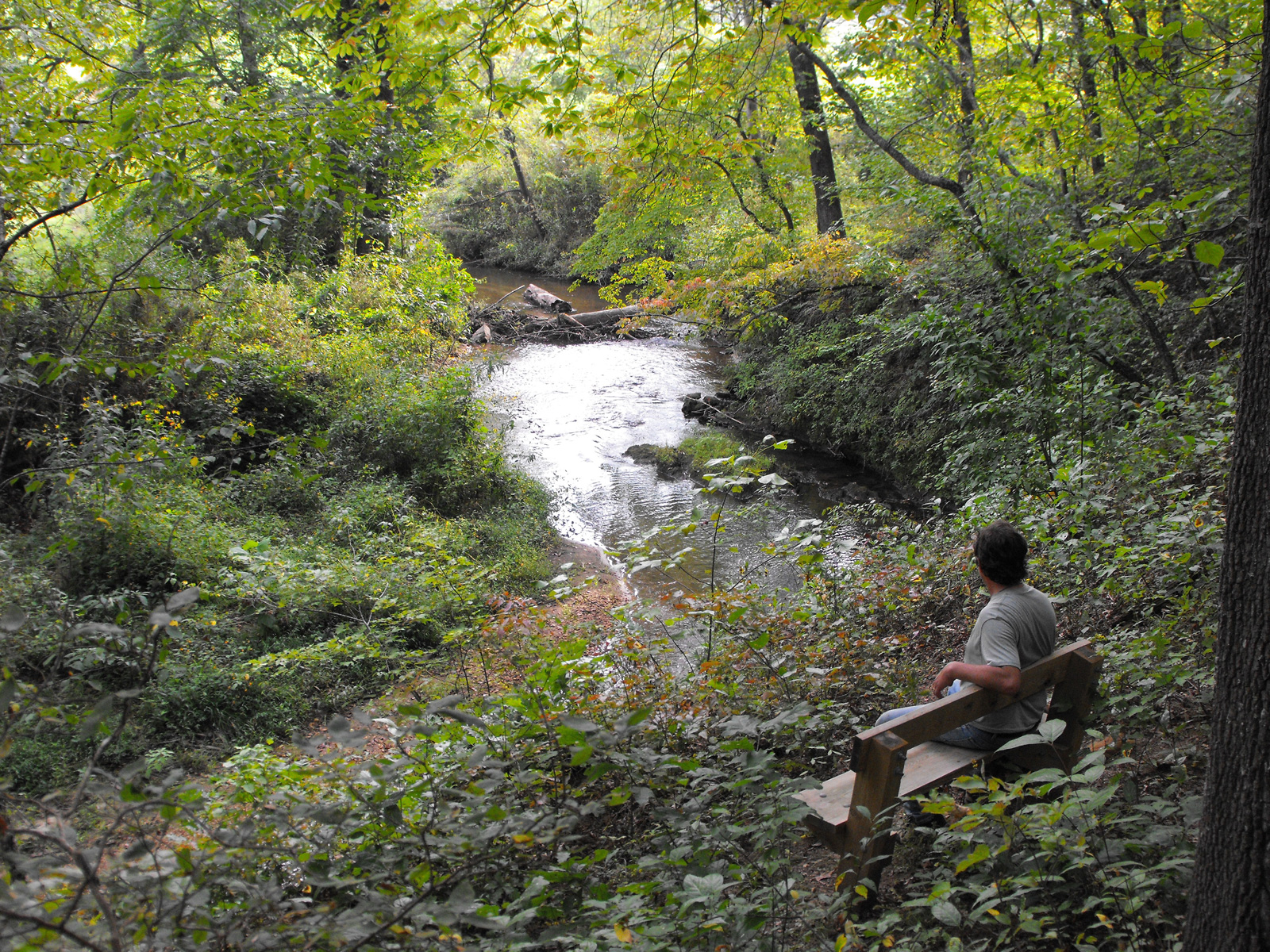 Tessentee Bottomland Preserve