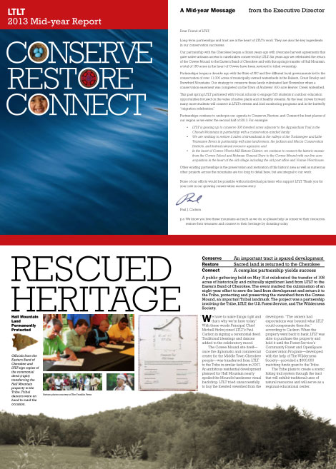 2013 Mid-Year Report