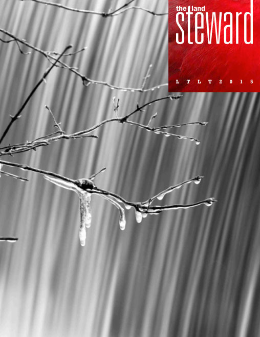 2015 Land Steward