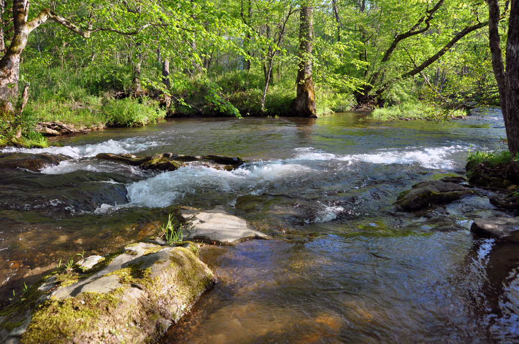 Tessentee Creek