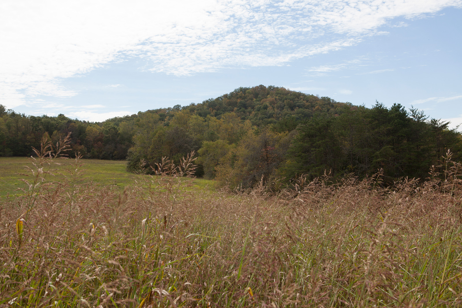 Hall Mountain