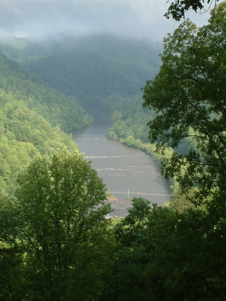 Needmore Tract