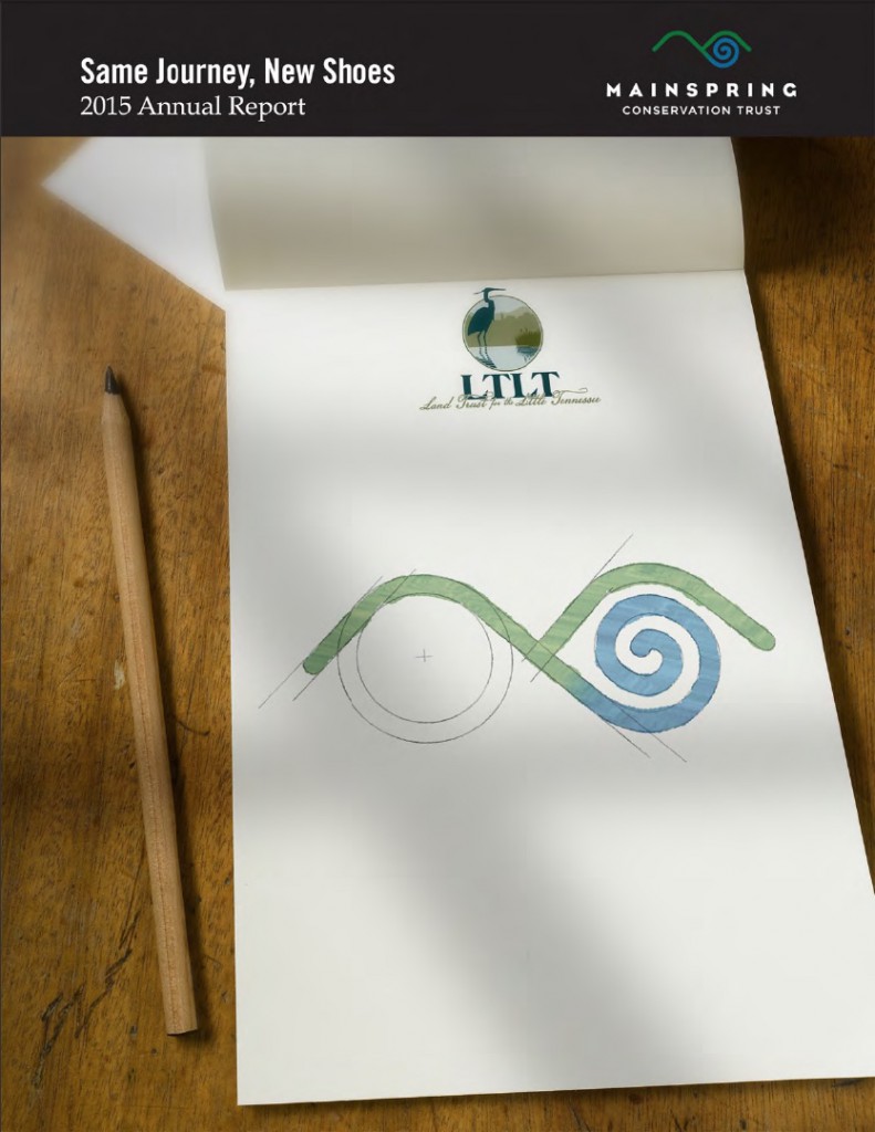 2015 Annual Report