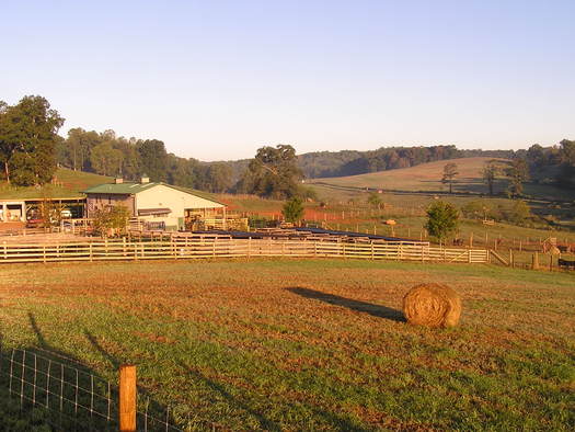 Land Trusts: Sustaining the Farms that Feed NC (Public News Service)