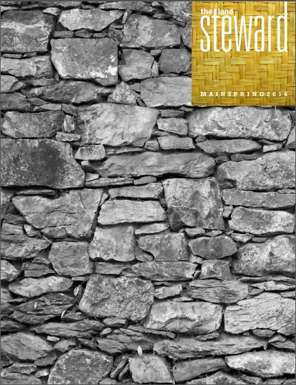 2016 Land Steward