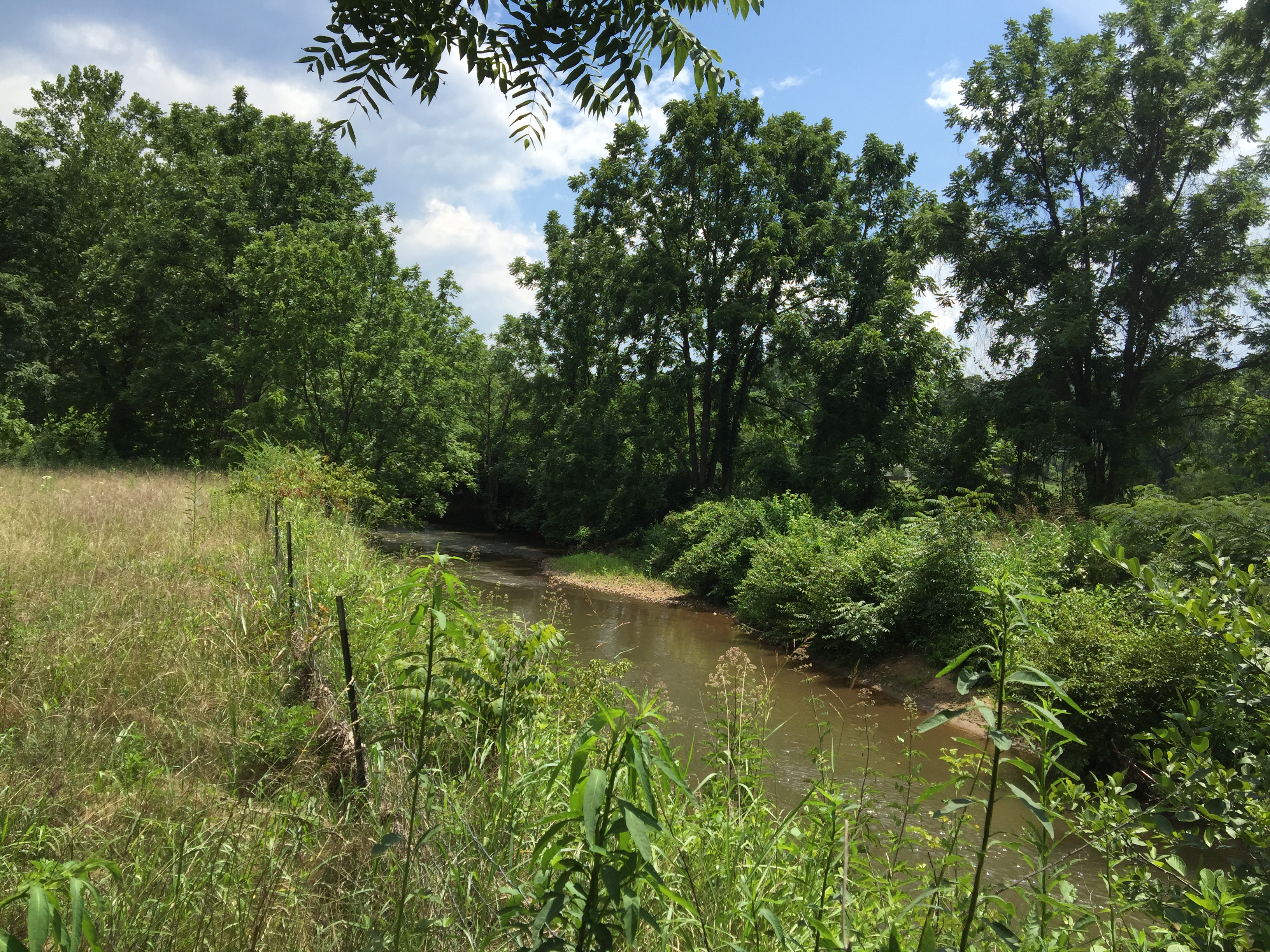 Regional Land Trust Hoping to Help Expand Local Greenway