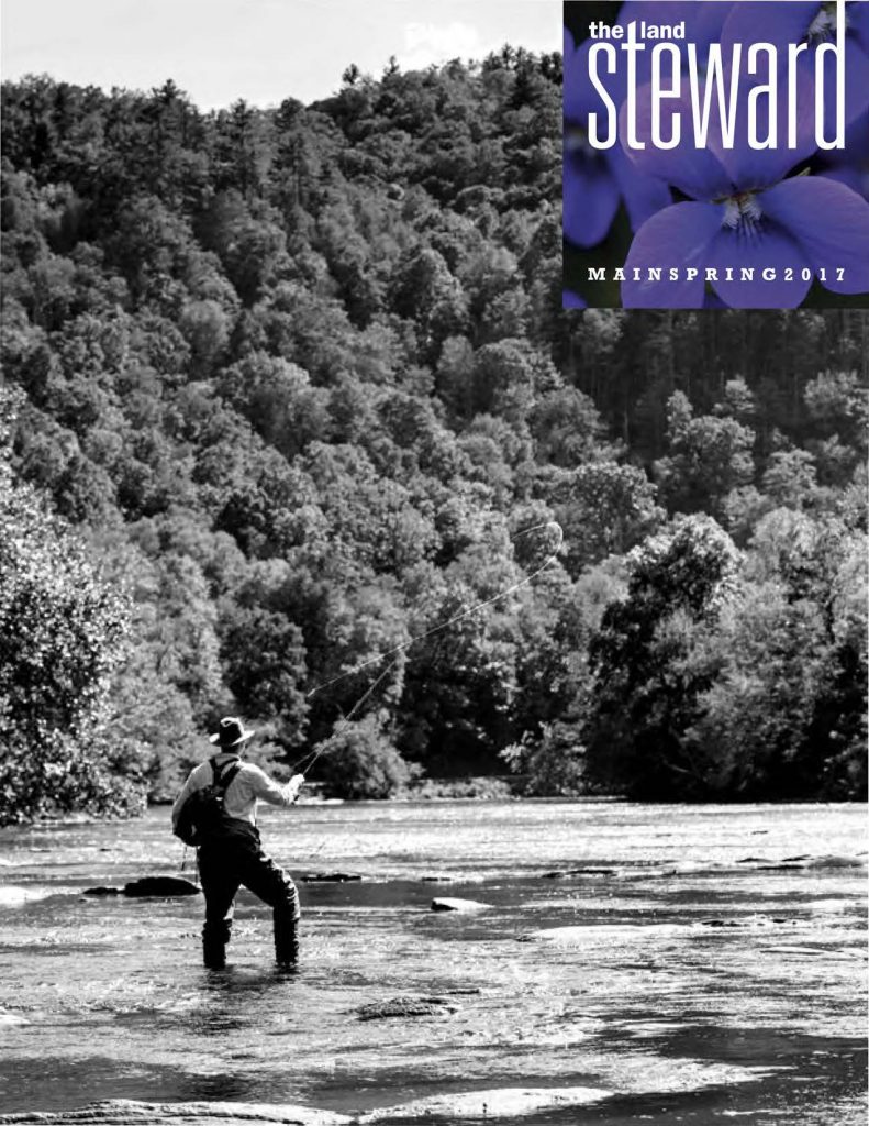 2017 Land Steward