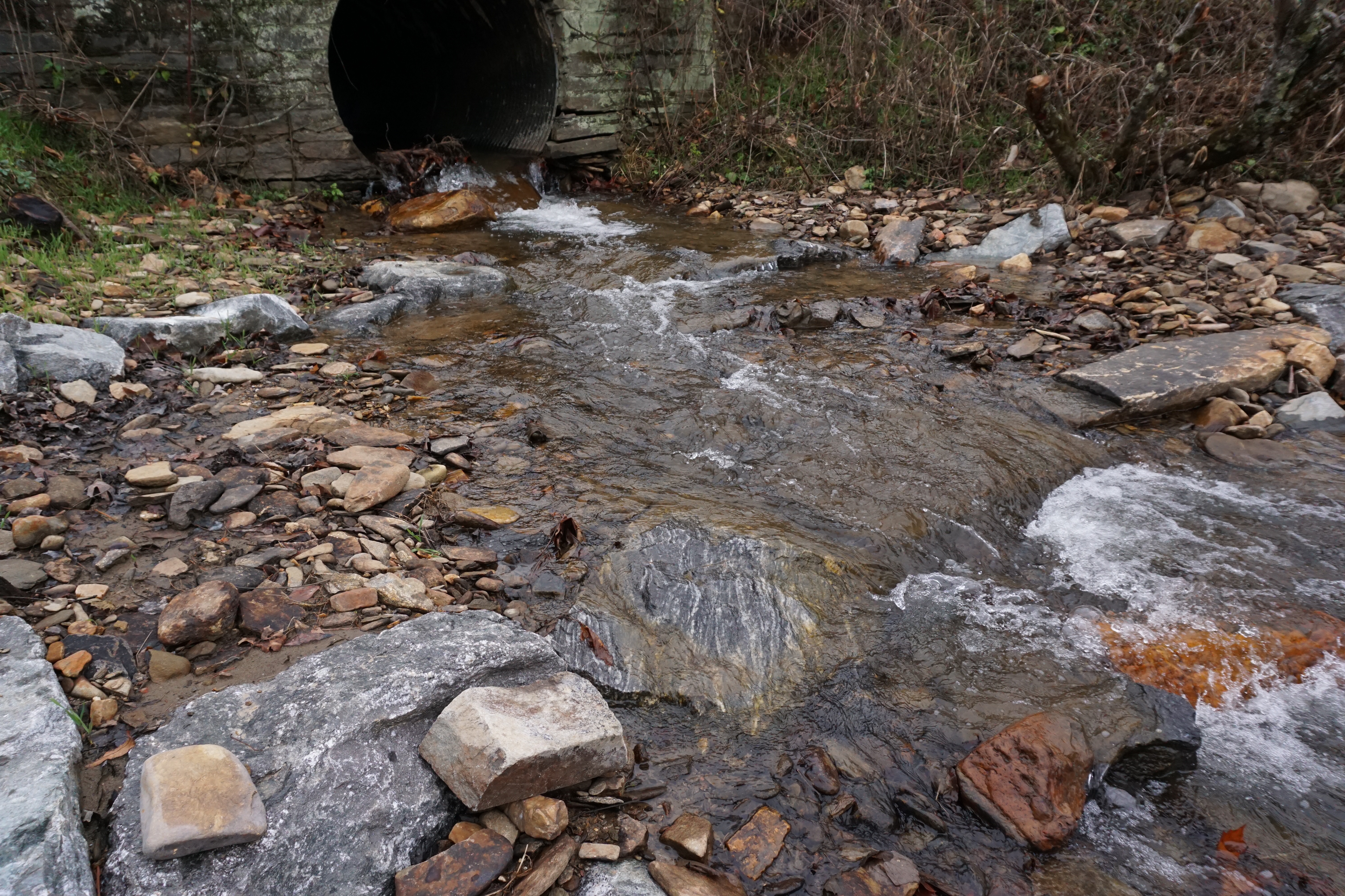 The Franklin Press: Work Allows Fish to Swim Upstream