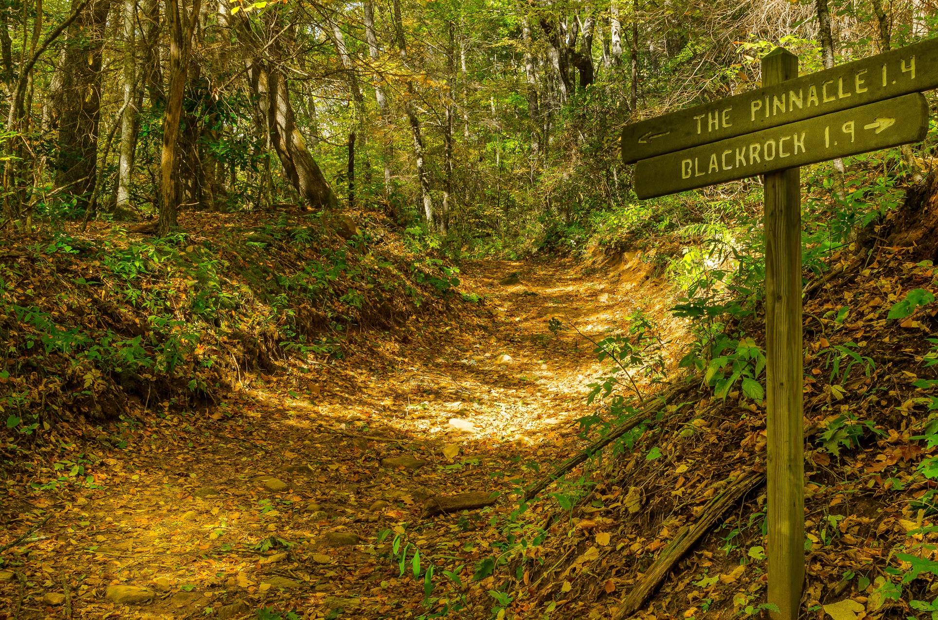 Smoky Mountain News: Reroute planned for Blackrock Trail