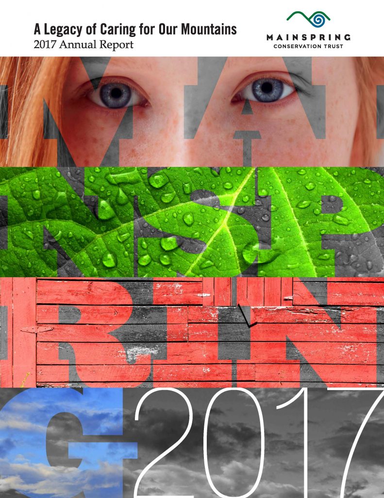 2017 Annual Report