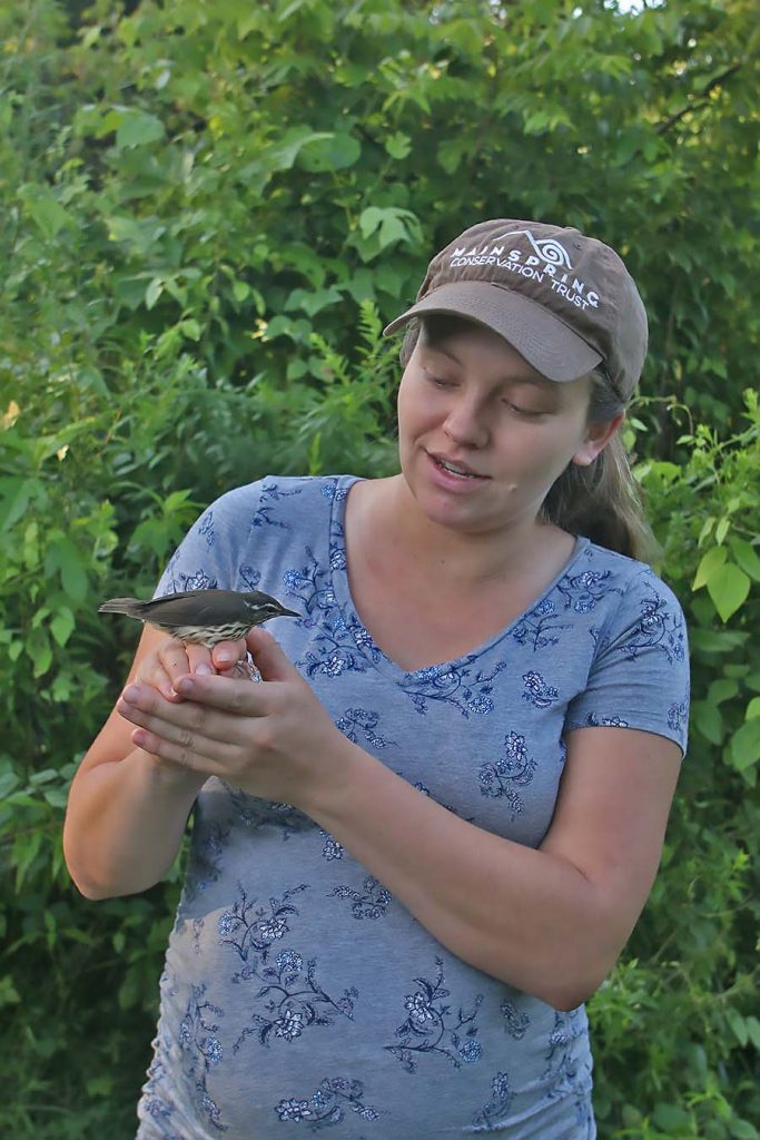 The Cherokee Scout: Bird Organization Monitors Welch Farm
