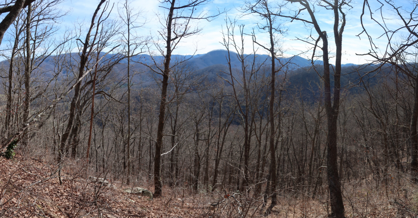 Couple Plays Role in Protecting Parkway View