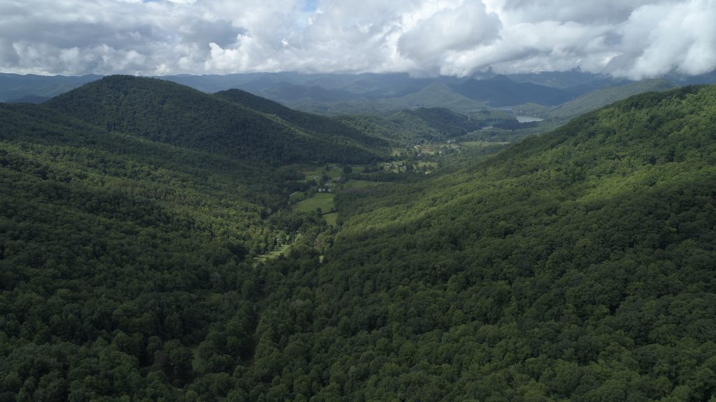 Deep Impact – How Conservation Wins With Private Land Sale