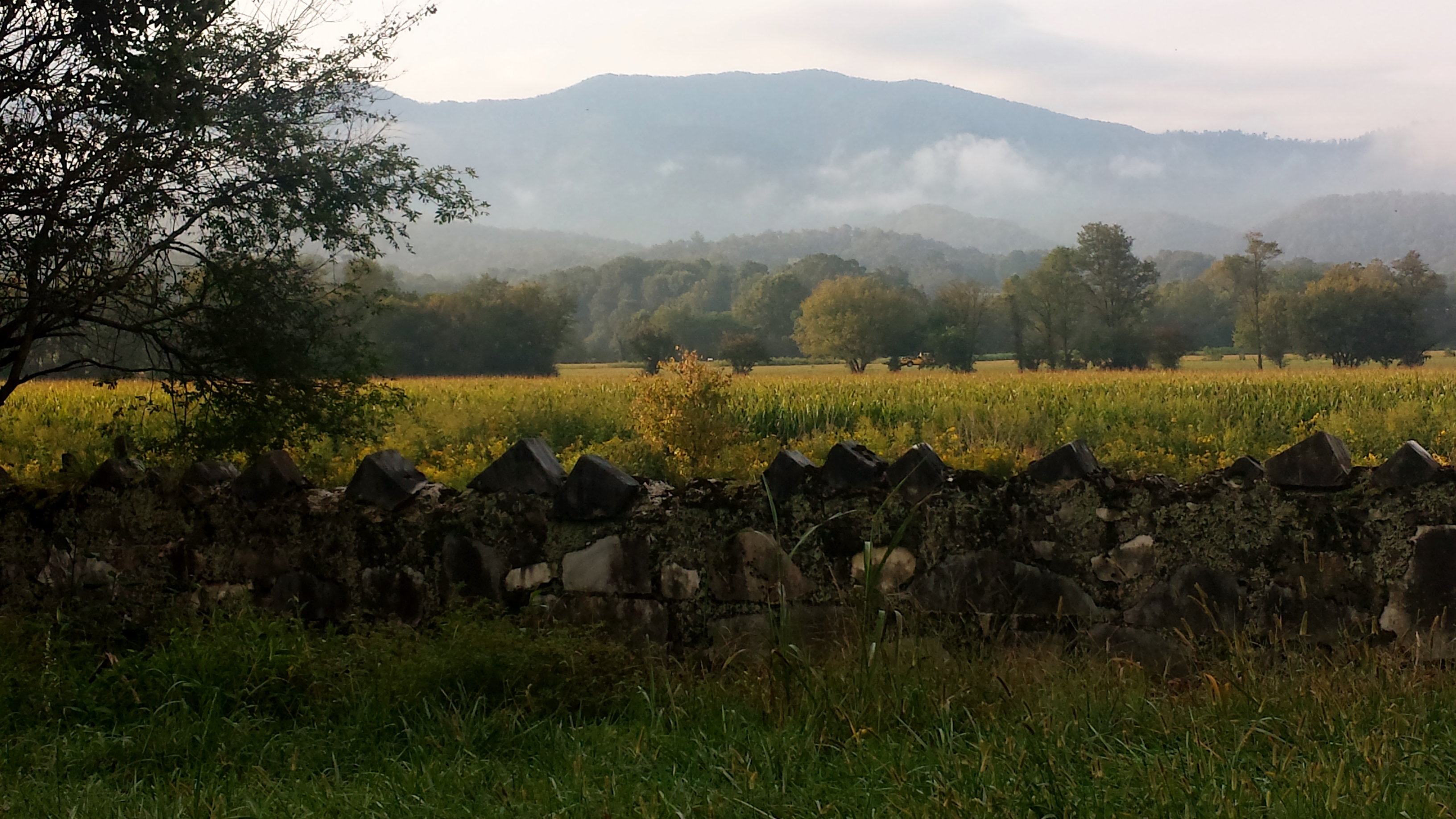 Fires Creek