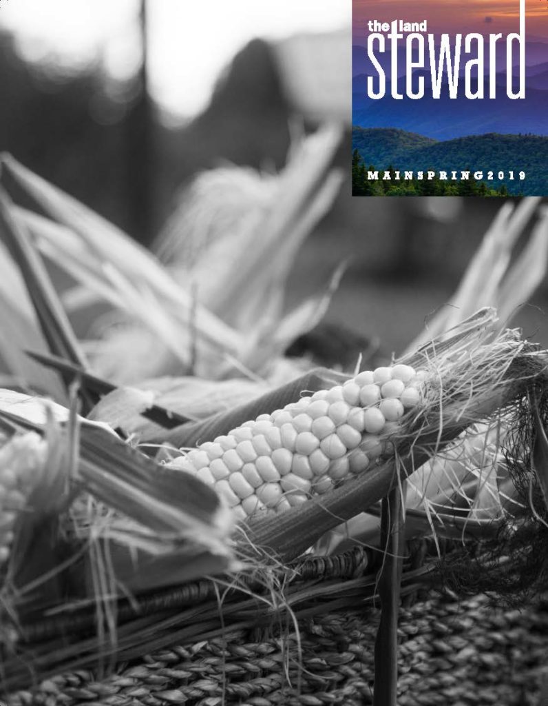 2019 Land Steward