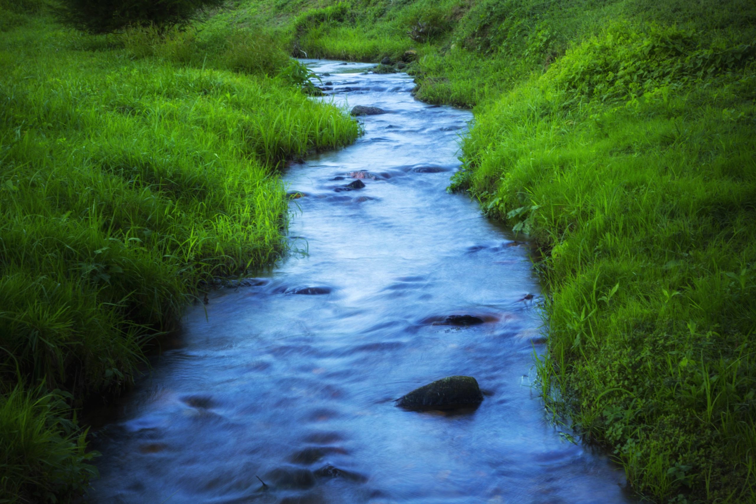 Mainspring Conserves Cherokee County Working Farm