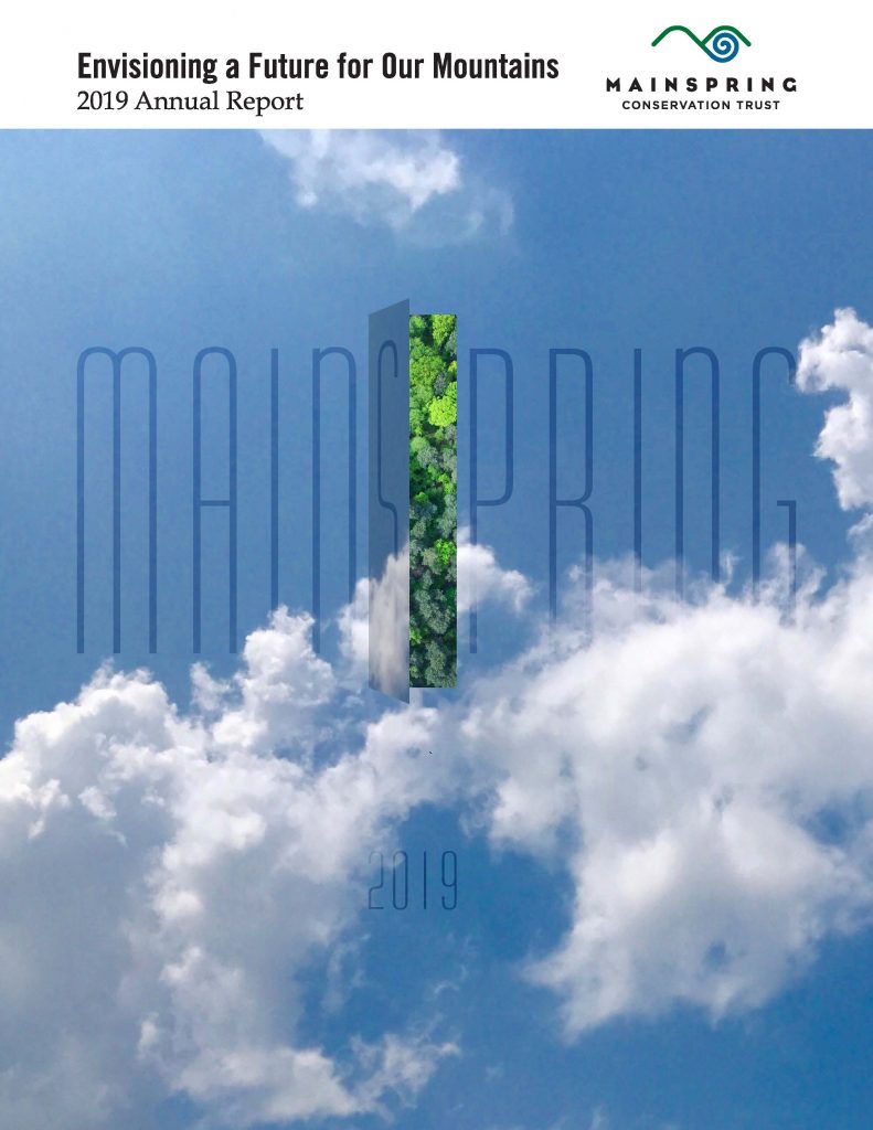 2019 Annual Report