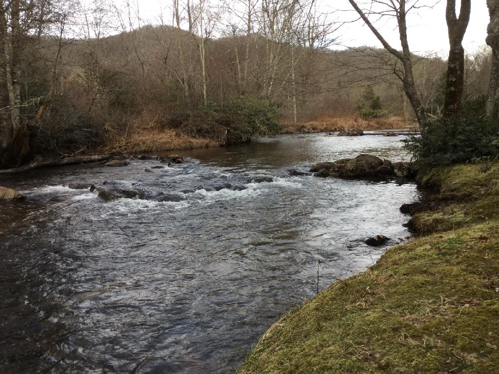 Mainspring Conserves Important Area in Rainbow Springs