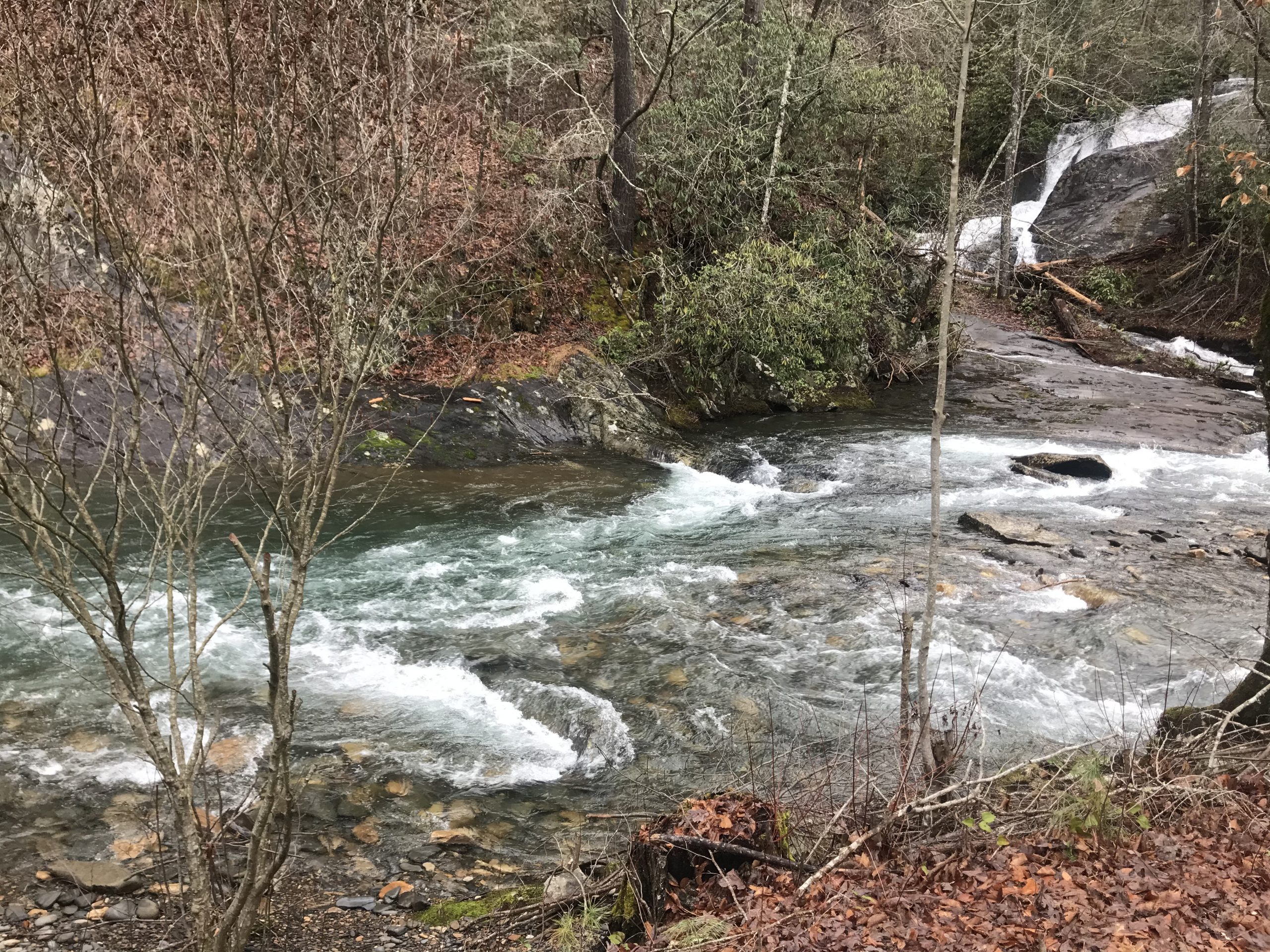 USFS Acquires 49-Acre Tract in Fires Creek from Mainspring