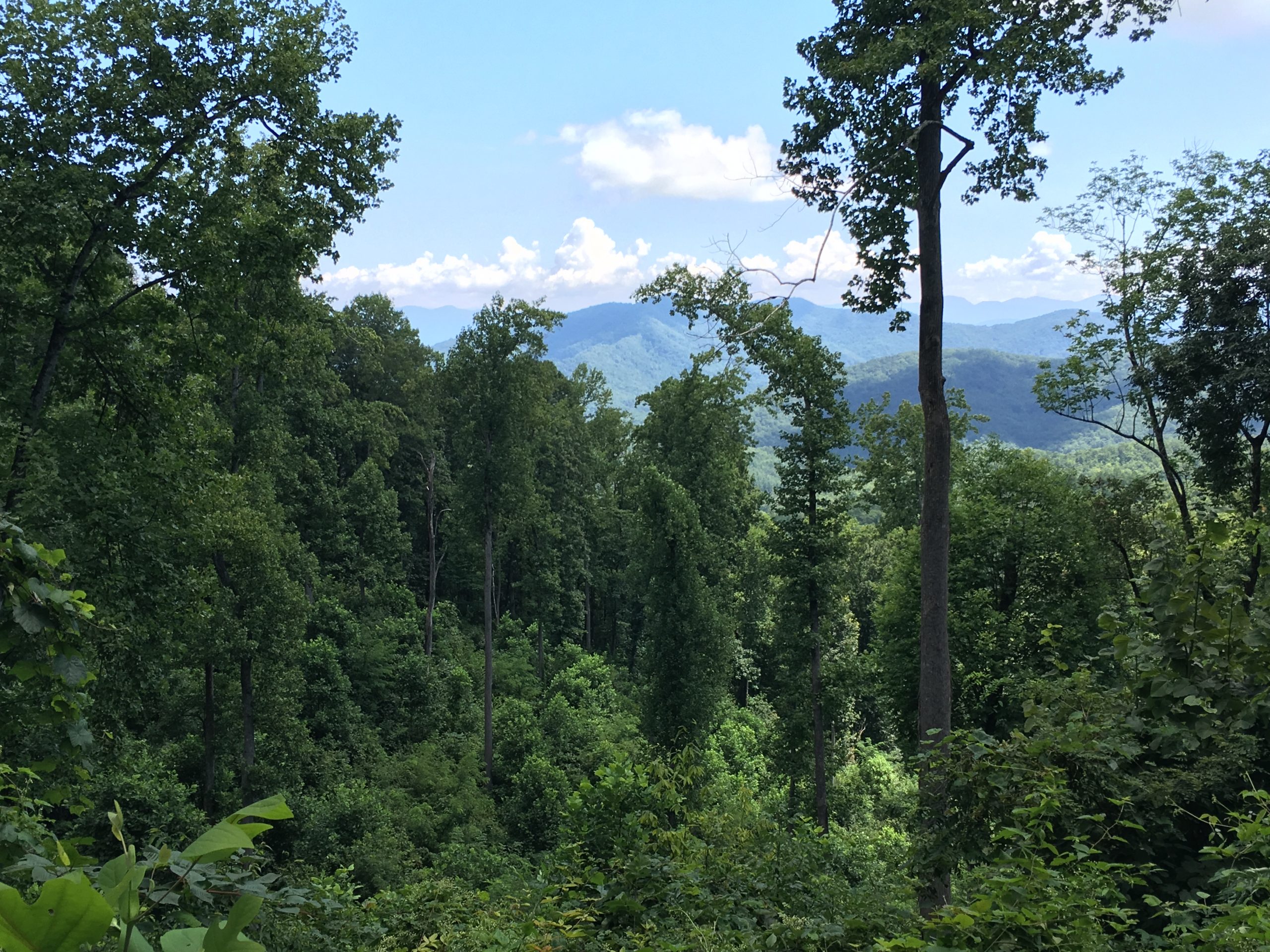 US Forest Service Acquires Property From Mainspring