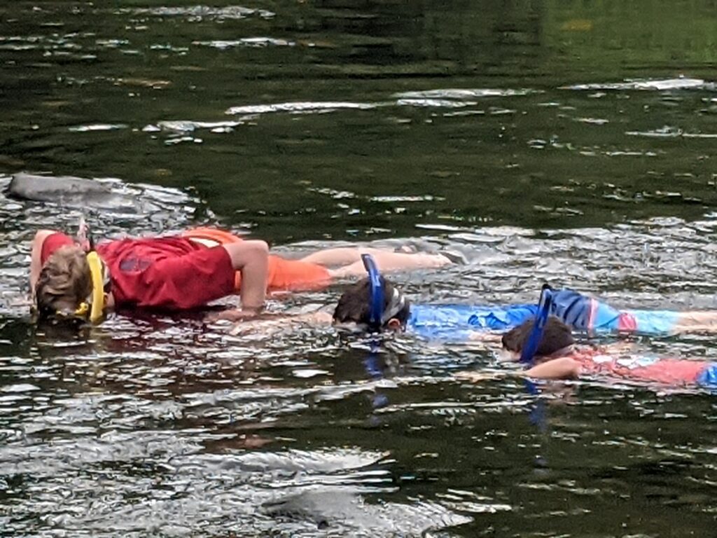 New Blue Ridge Snorkel Trail to Launch