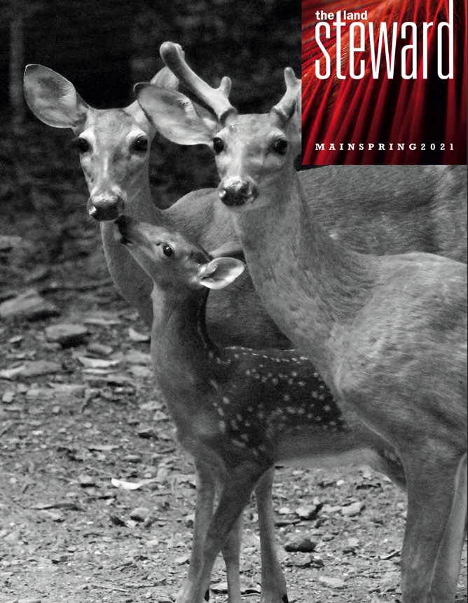 2021 Land Steward