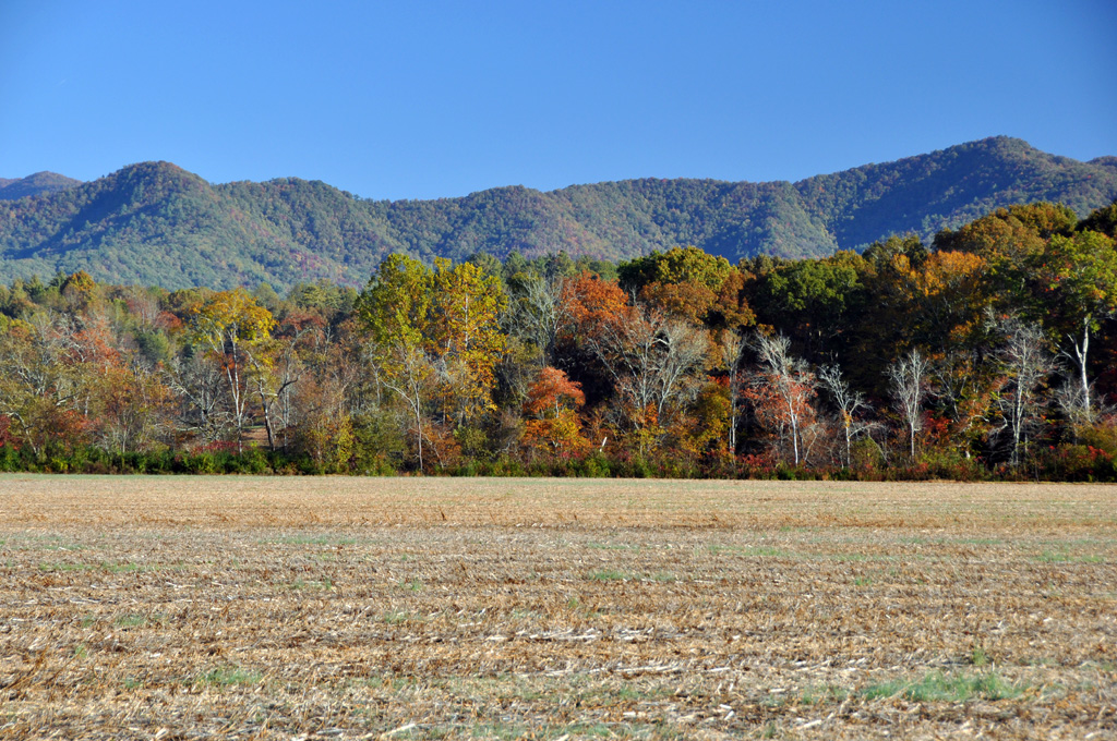 Mainspring Earns National Recognition for Strong Commitment to Public Trust and Conservation Excellence