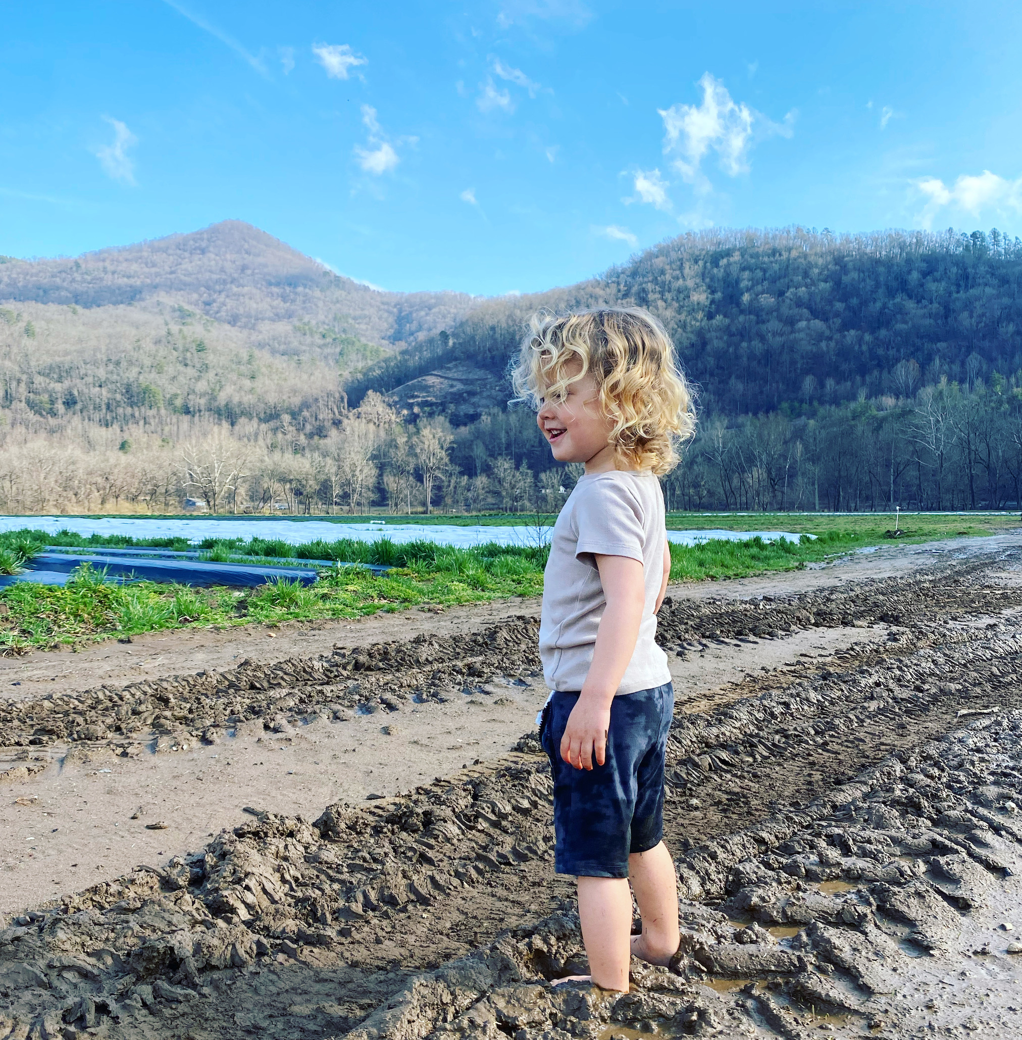 Family Hopes to Conserve Their Popular Swain County Farm