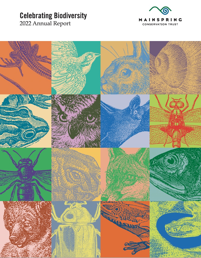 2022 Annual Report