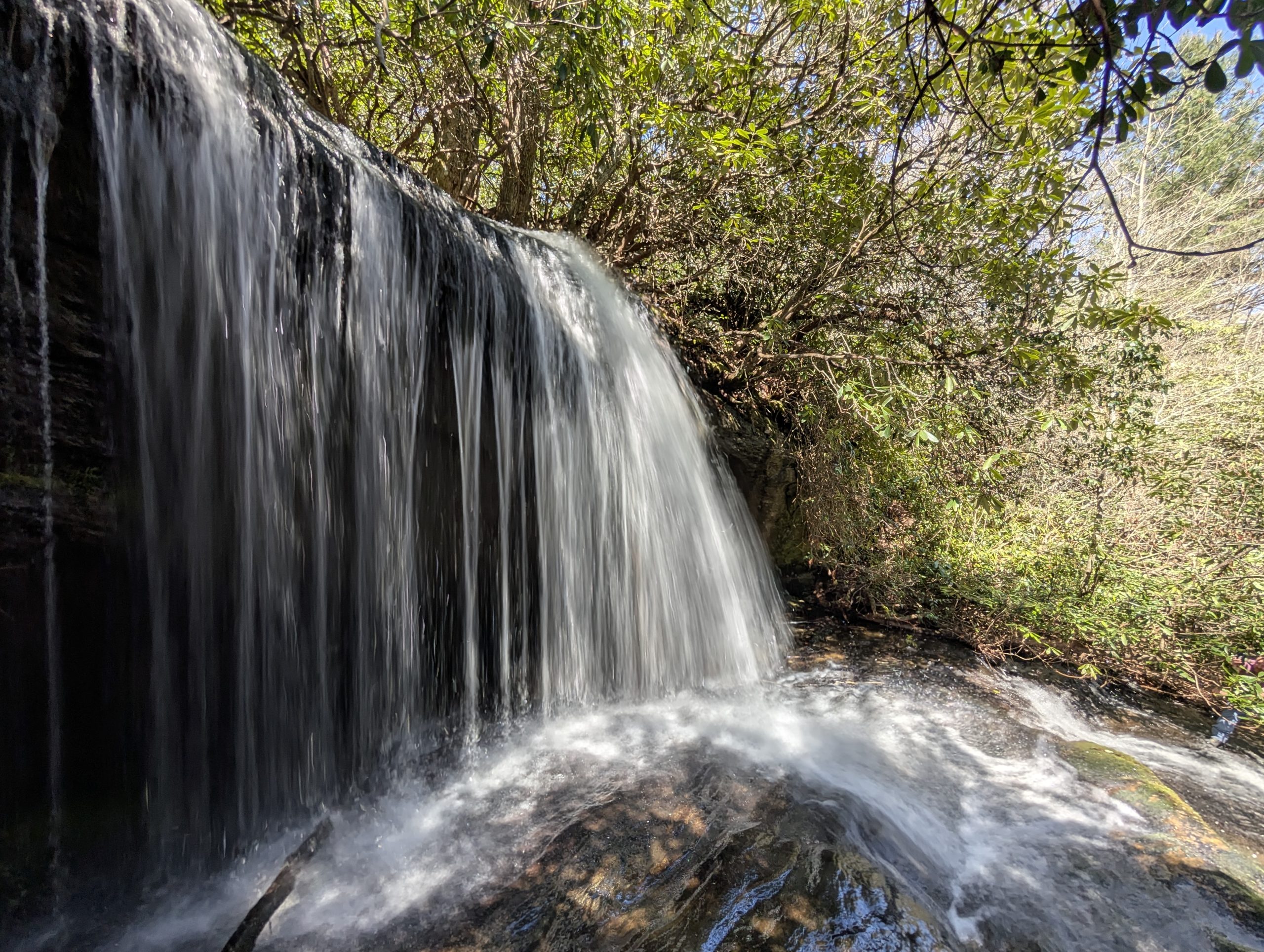 Conservation Partners Collaborate to Save Remaining Inholding in Panthertown Valley