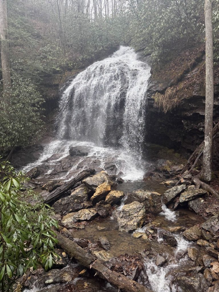 Cover Falls Preserve Ribbon Cutting, Andrews